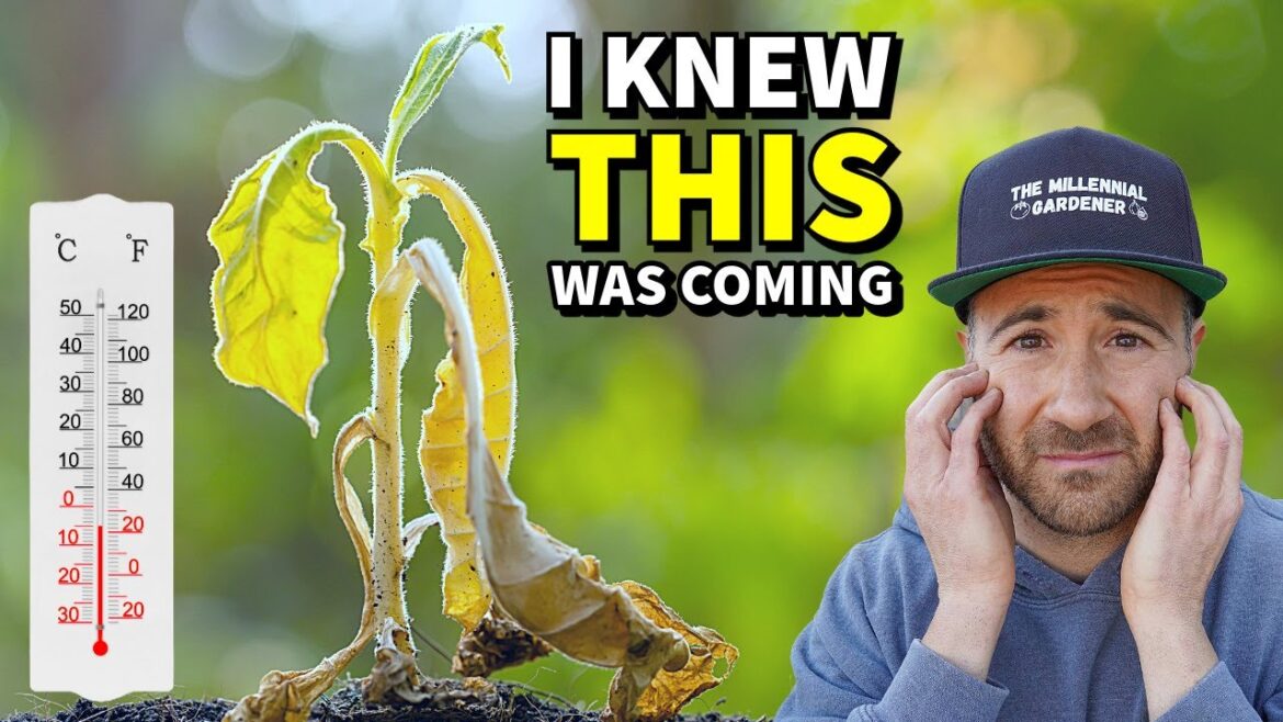 They Tried To KILL My Garden! Here’s What Happened. They Tried To KILL My Garden! Here's What Happened.