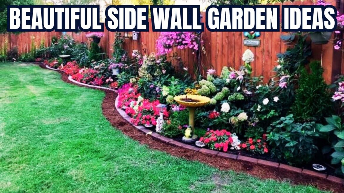80+ Beautiful Side Wall Garden Design Ideas