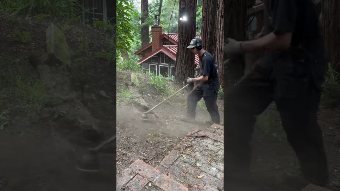 Customer Won’t Pay Their $200 Invoice #shortsfeed #shorts #fyp #garden