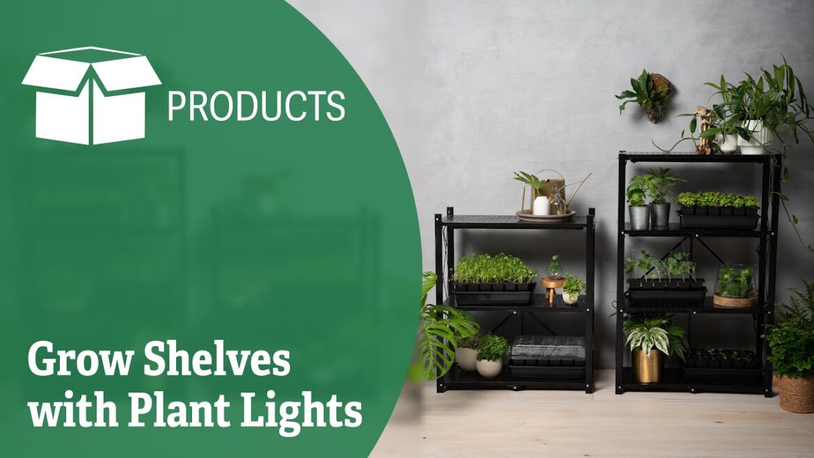 Grow Shelves with Plant Lights Grow Shelves with Plant Lights