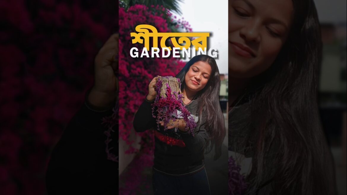 গাছ নিয়ে সমস্যায় পড়েছি ☹️🌼 #shorts #minivlog #bengali #gardening