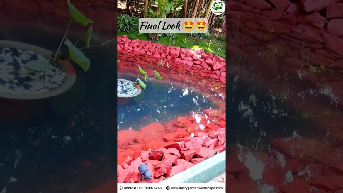 Natural Koi Pond #garden #gardendesign #bangalore #landscapingdesign #shorts