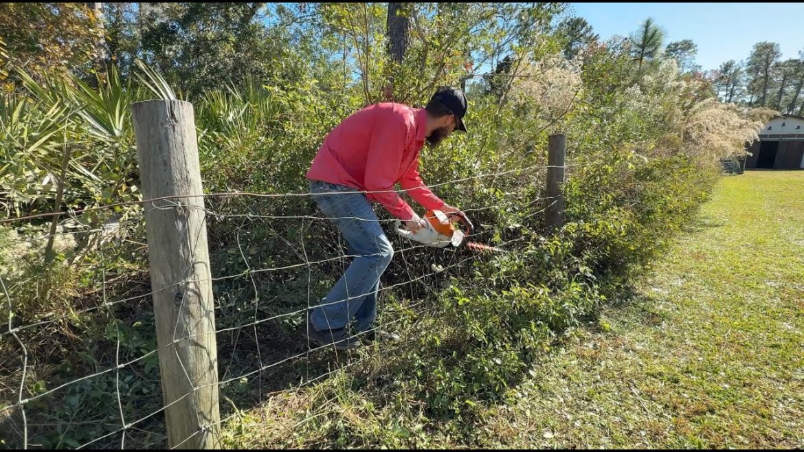 I surprised MY WIFE with a HOLIDAY yard makeover [Can't BELIEVE I let it get that BAD!!!]