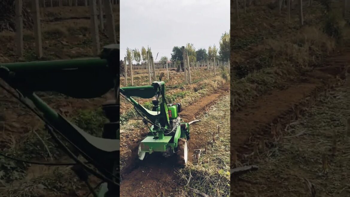 Part 447 Too greatfylly garden work very nice machine for garden and for labor work.