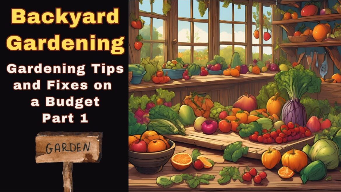 Backyard Gardening: Tips and Fixes on a Budget Part 1 Backyard Gardening: Tips and Fixes on a Budget Part 1