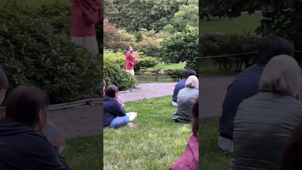 Seattle Japanese Garden Seattle Japanese Garden