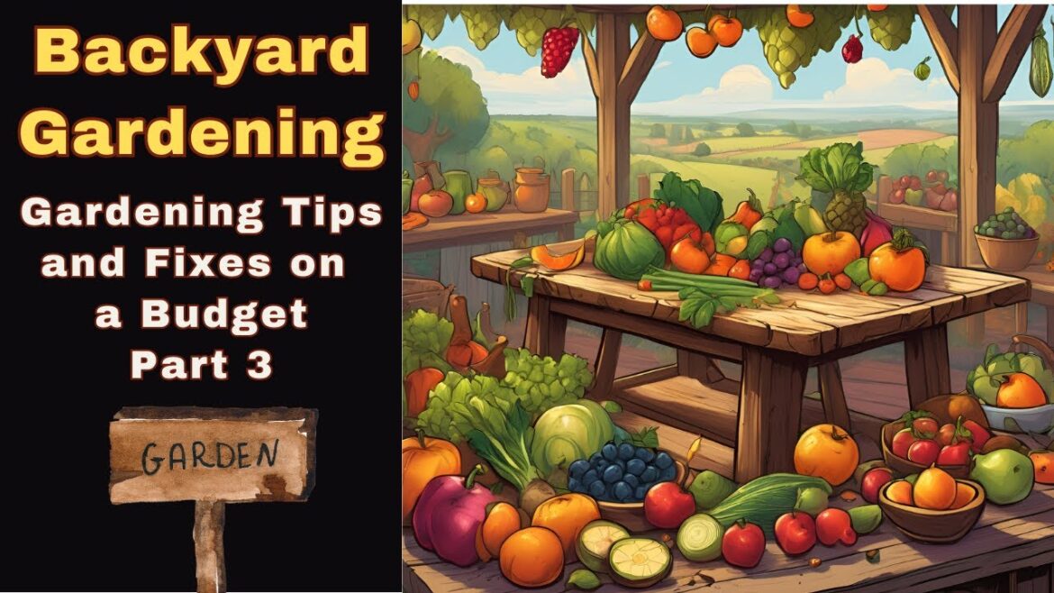 Backyard Gardening: Tips and Fixes on a Budget Part 3 Backyard Gardening: Tips and Fixes on a Budget Part 3
