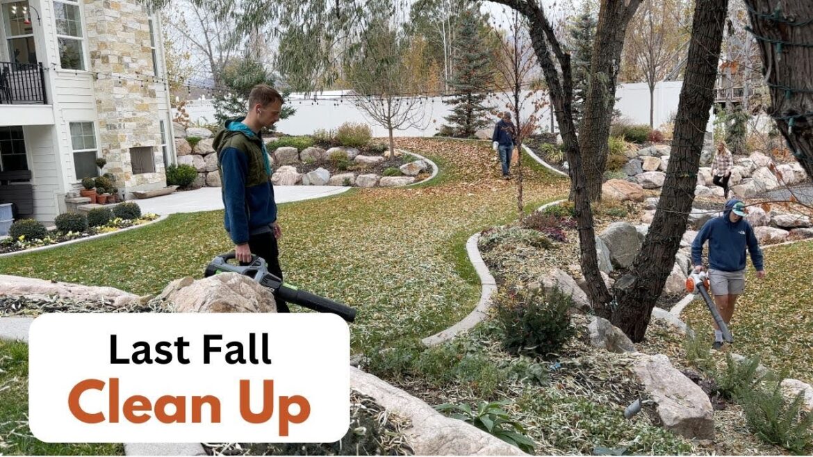 Last Fall Clean Up! Last Fall Clean Up!