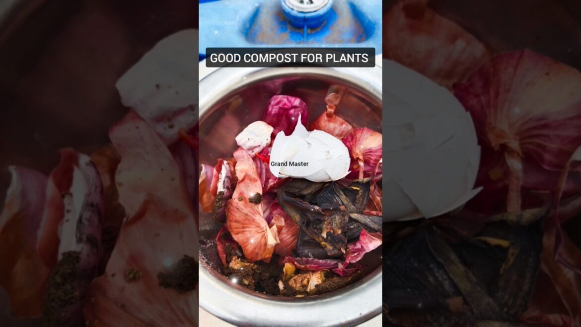 GOOD COMPOST FOR PLANTS || GARDEN TIPS || GARDENING TIPS.#compostforplants#plantcompost#gardentips GOOD COMPOST FOR PLANTS || GARDEN TIPS || GARDENING TIPS.#compostforplants#plantcompost#gardentips