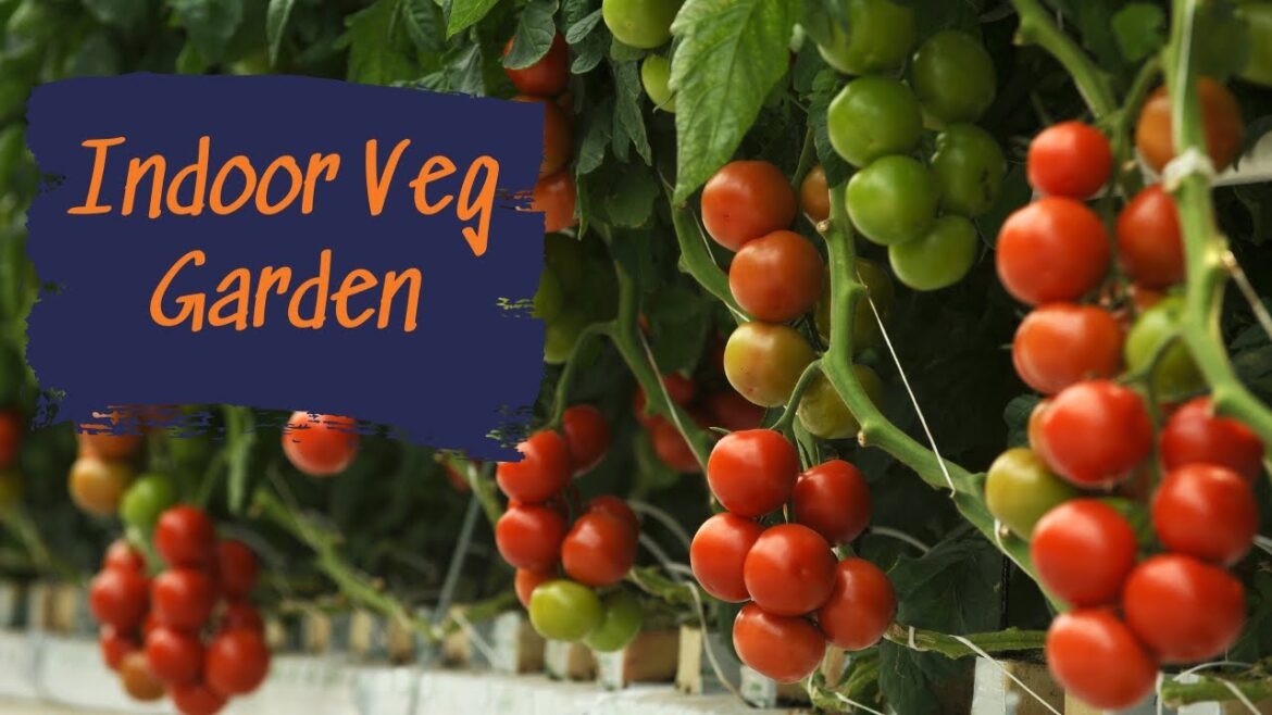 Mini Garden Hack for Tiny Spaces Mini Garden Hack for Tiny Spaces