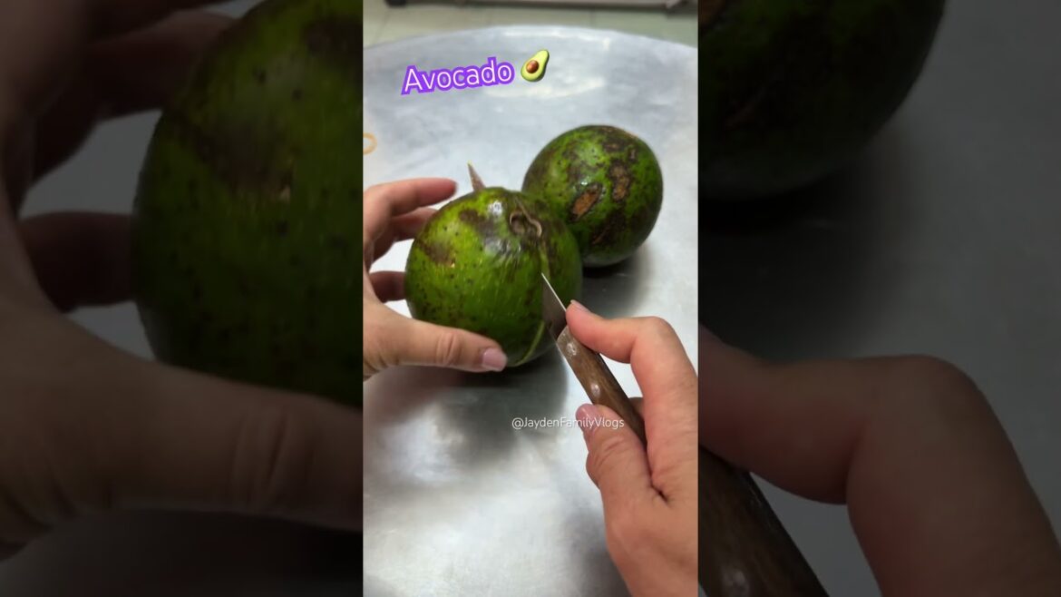 Fruit Cutting AVOCADO 🥑 #shorts #satisfying #fruitcutting #fruit #food Fruit Cutting AVOCADO 🥑 #shorts #satisfying #fruitcutting #fruit #food