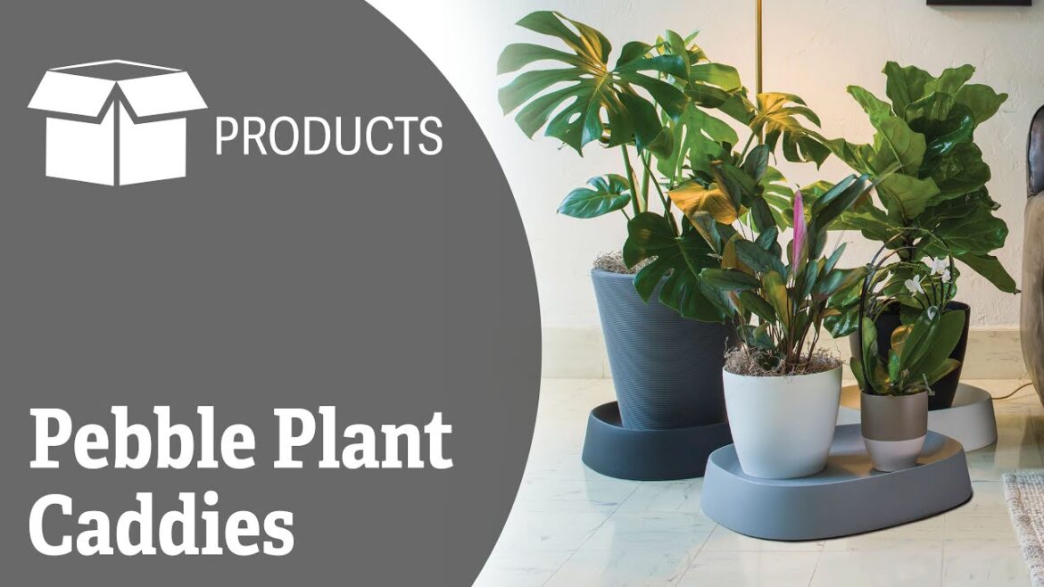 Pebble Plant Caddies