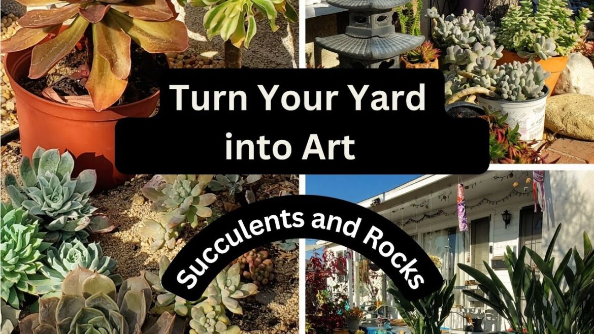 Backyard Succulent Garden Tour | Succulent Paradise 🌱 Backyard Succulent Garden Tour | Succulent Paradise 🌱