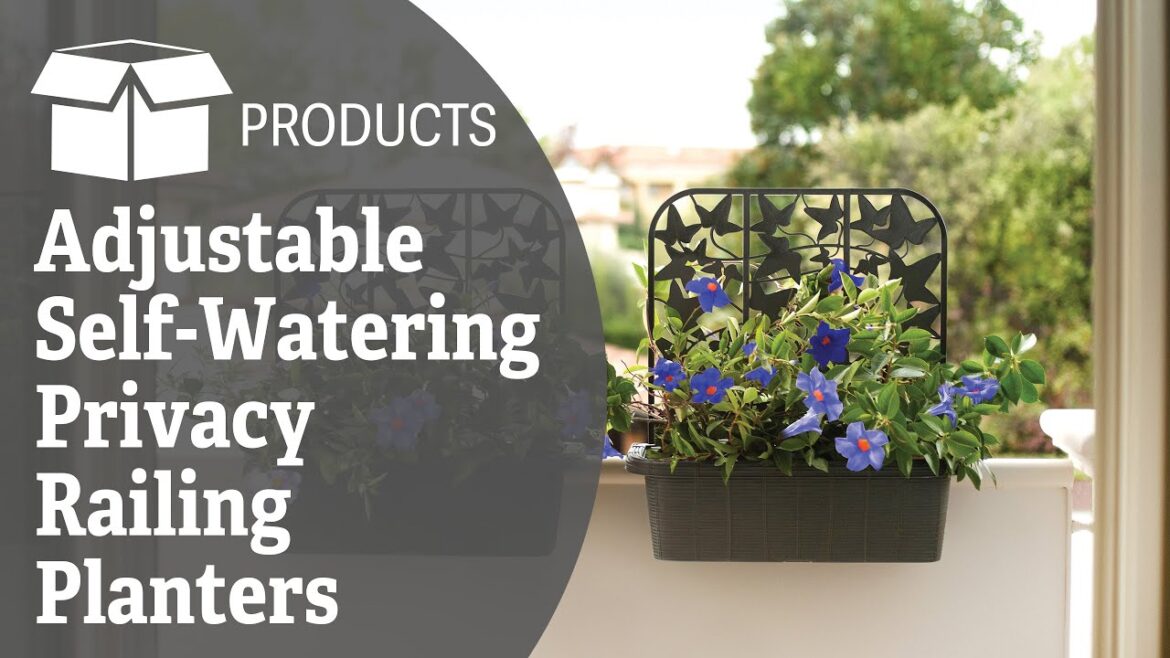 Adjustable Self-Watering Privacy Railing Planters, Set of 2 Adjustable Self-Watering Privacy Railing Planters, Set of 2