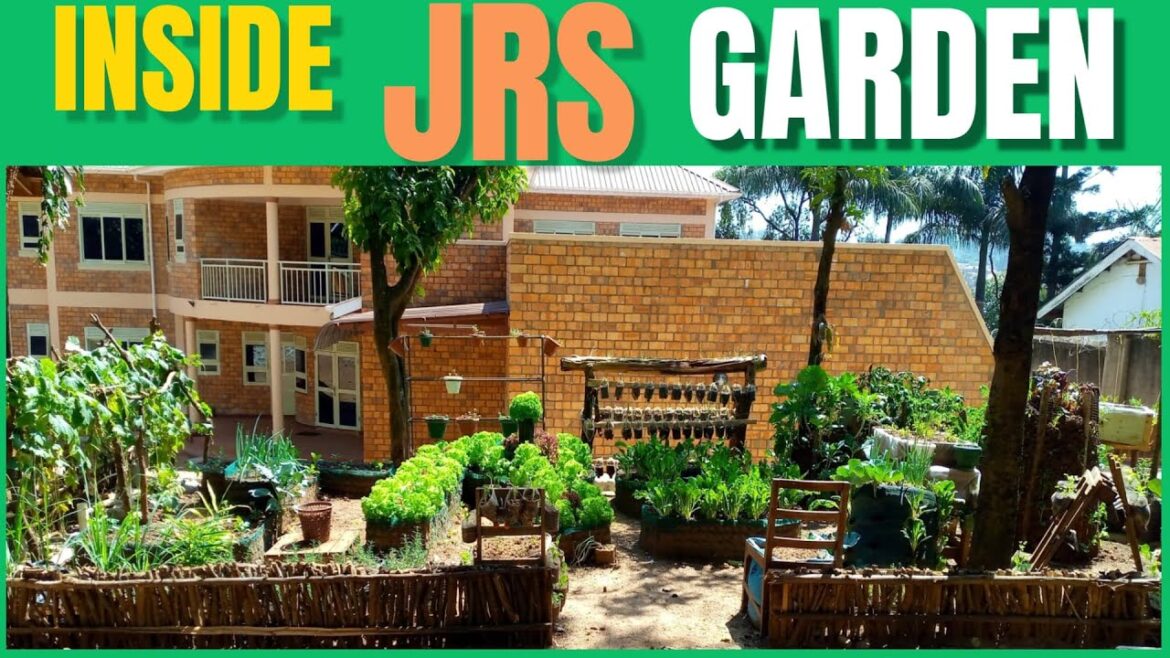 Organic Garden Tour: A Vertical and Organic Gardening Paradise! Organic Garden Tour: A Vertical and Organic Gardening Paradise!