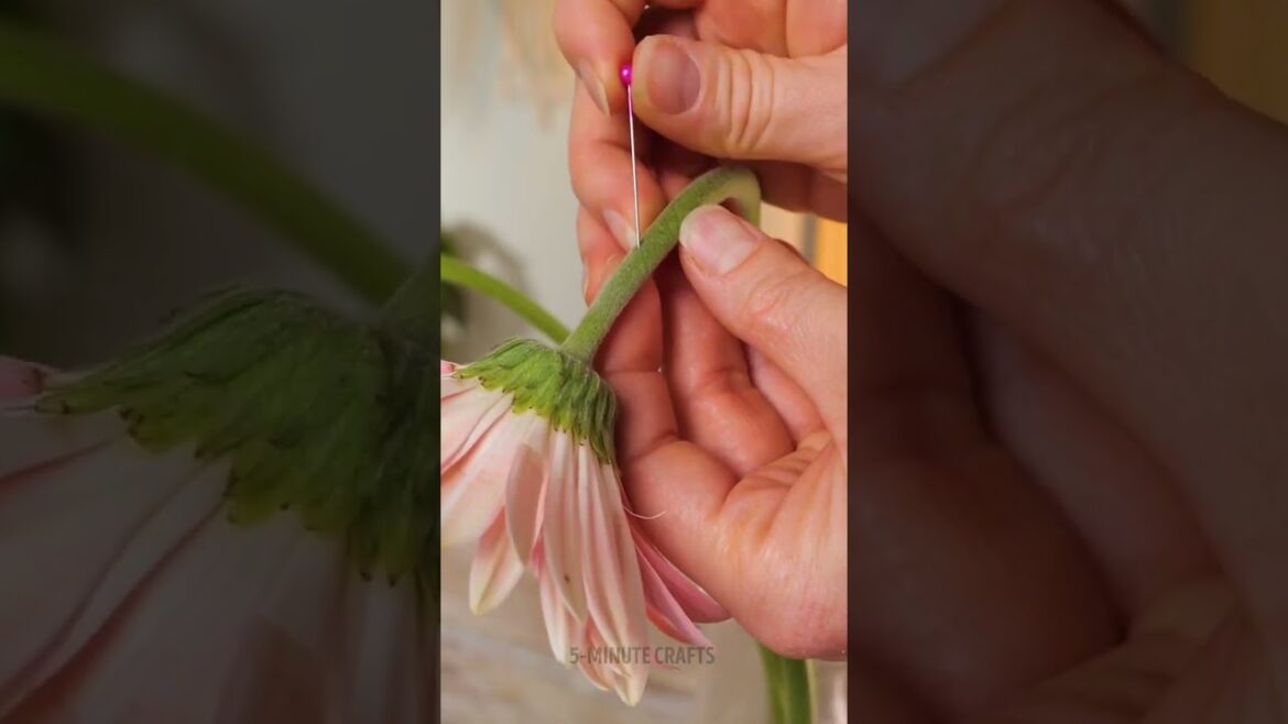 Flower Lovers, Check Out These Pro Tips to Keep Your Blooms Fresh Longer! 🌸✨