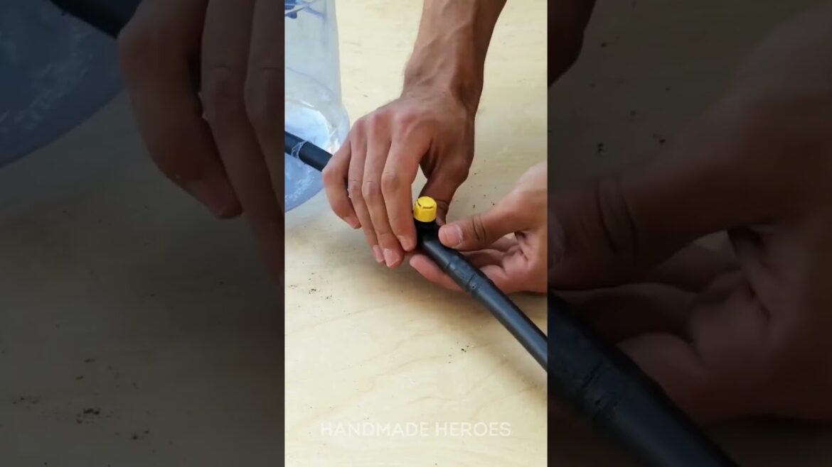 🌱Gardening tip! Don't leave your plants without water if you travel 💦