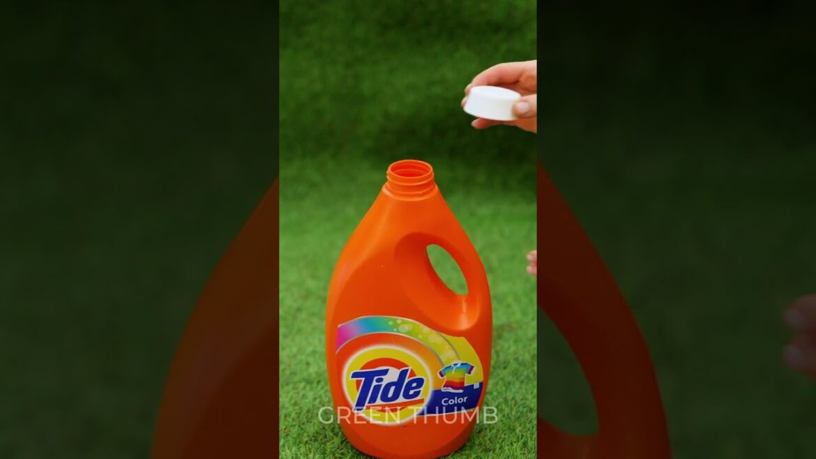 Boost your gardening routine in Minutes! Boost your gardening routine in Minutes!