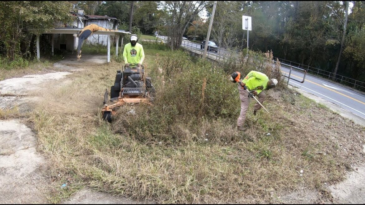 I DIDN’T Expect To Find THIS…| One Of The CRAZIEST Yards You’ll EVER See ($0 CHARGED) I DIDN'T Expect To Find THIS...| One Of The CRAZIEST Yards You'll EVER See ($0 CHARGED)
