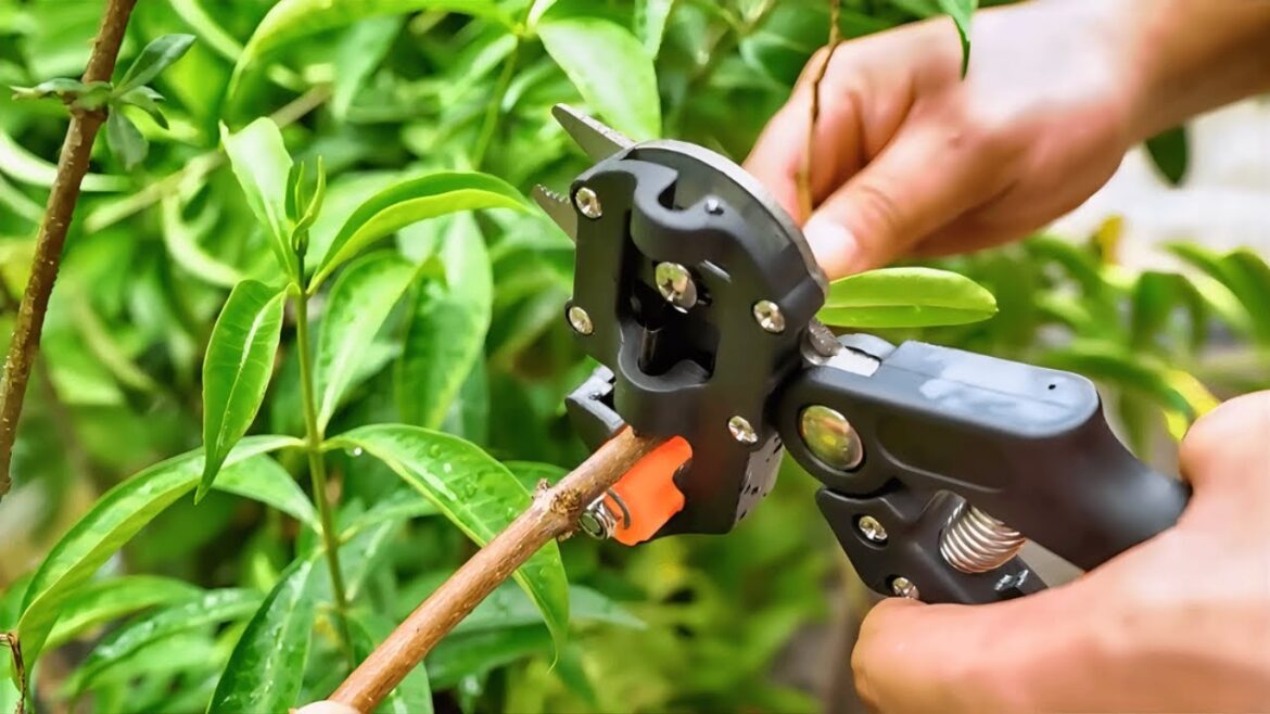Must-Have Gardening Tools and Gear - Awesome Presentation!