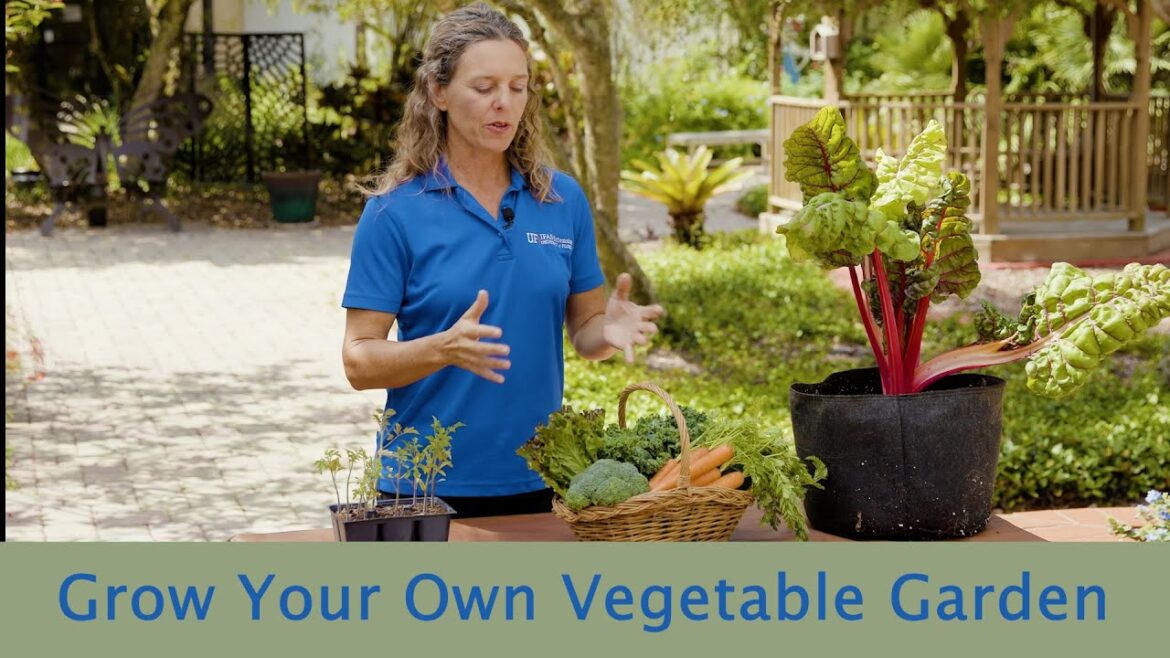 Eat Healthy and Stay Active by Planting Your Own Vegetable Garden Eat Healthy and Stay Active by Planting Your Own Vegetable Garden