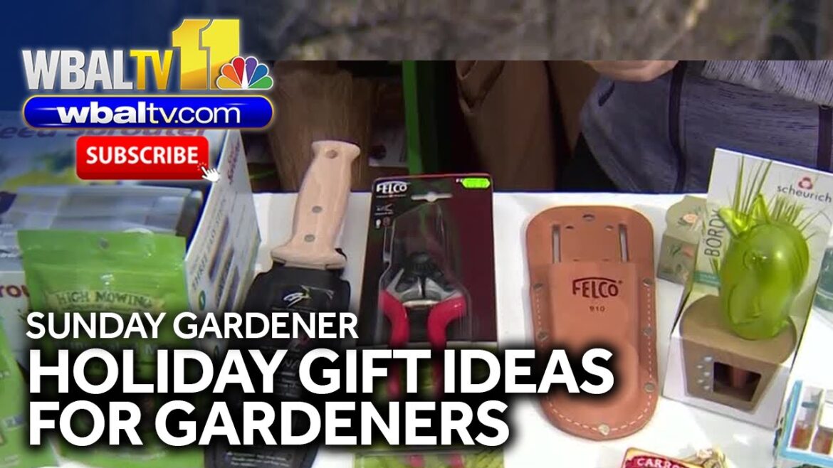 Here are some gift ideas for the gardener in your life