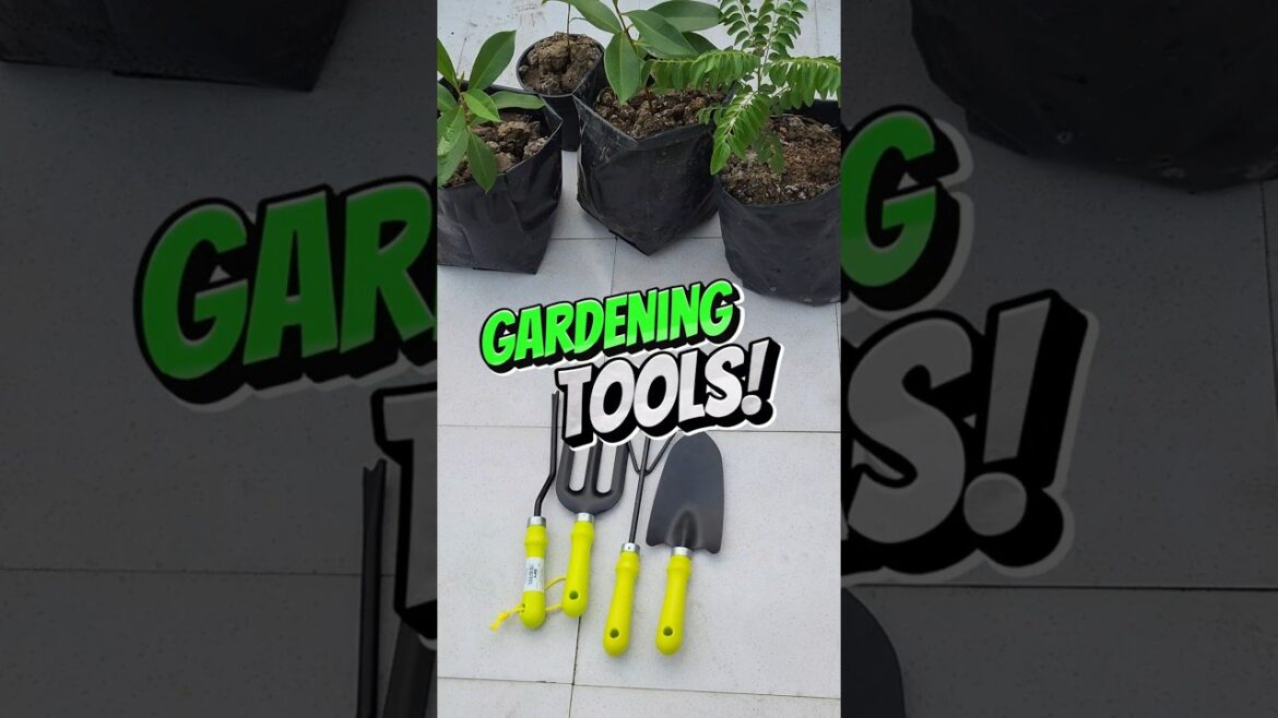 Gardening tools ⚒️ under Rs 200 | Mr D.I.Y Gardening Tools #gardening #farming #gardeningtools