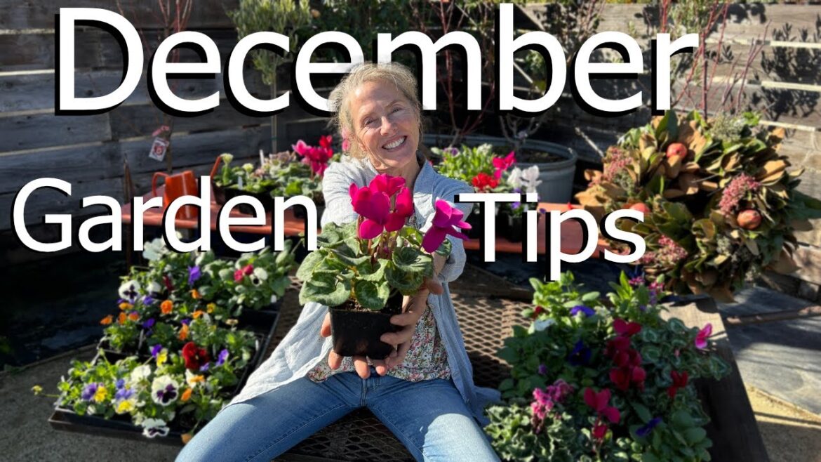 🎄December Garden Tips and Tricks🎄 #gardening #gardenadvice #gardentips