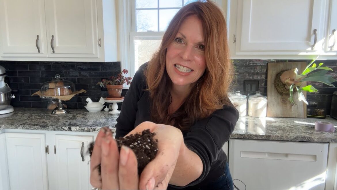 Top Tips for Starting Healthy Vegetable Plants from Seed #seedstarting