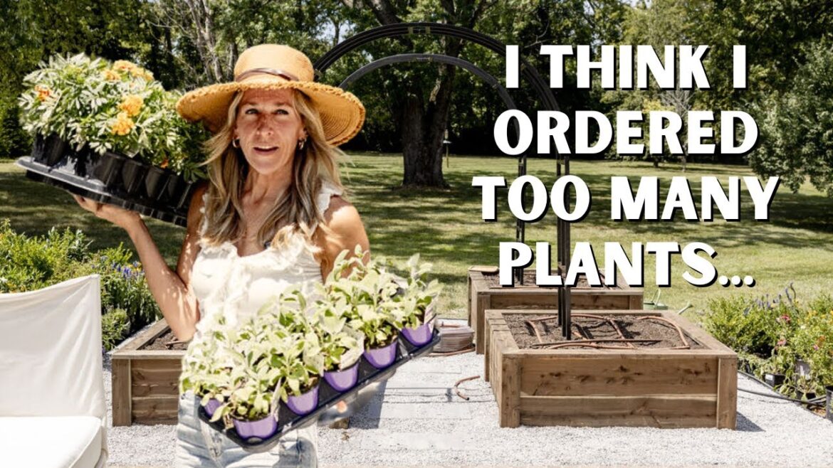 How to Turn Your Lawn into a Vegetable & Cut Flower Garden (Part 2)