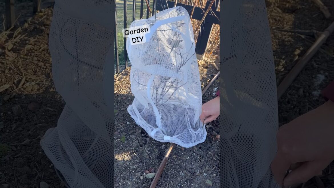 Easy Garden DIY for Pest Control #diy #gardentips