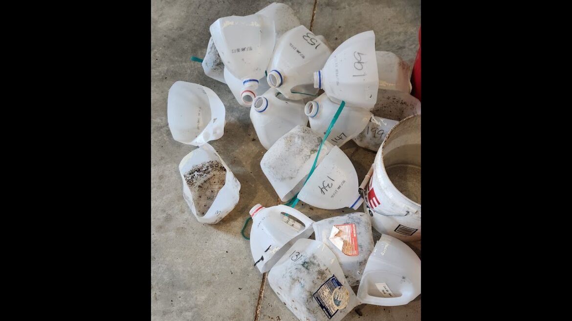 Winter Sowing Begins! 2024 Winter Sowing Begins! 2024