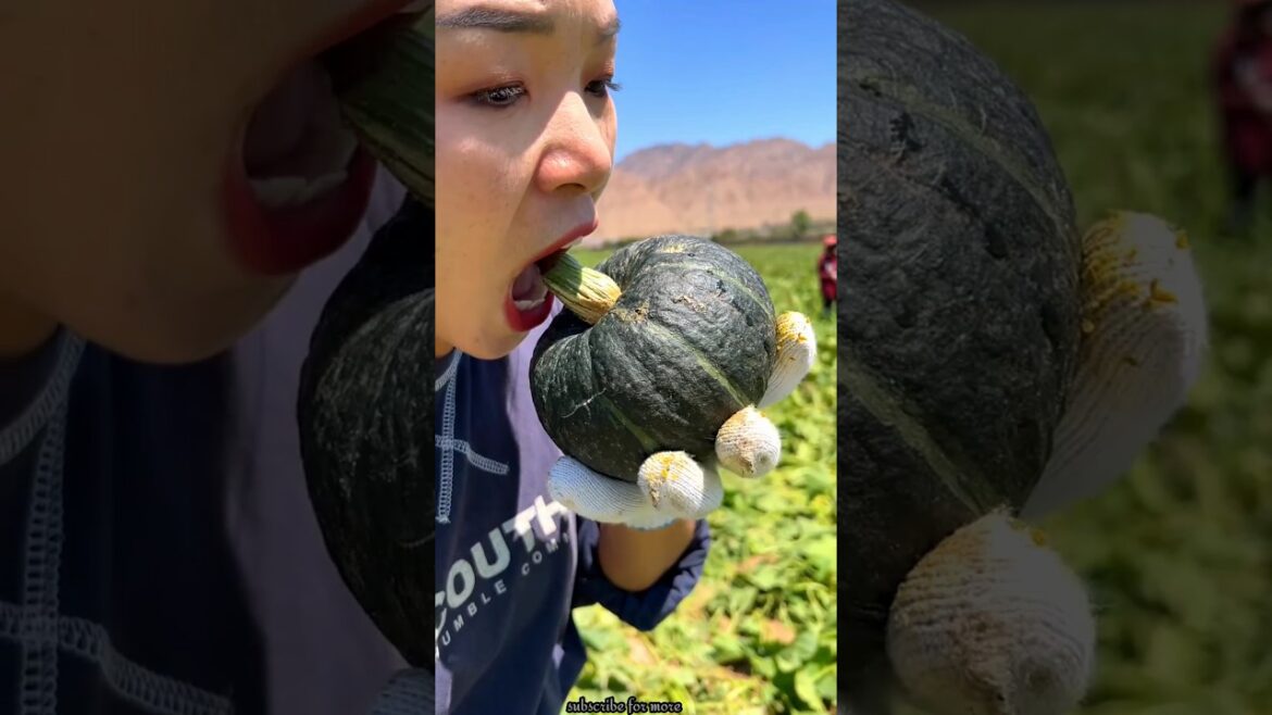 Beautiful Landscape of Pumpkin 🎃🎃 Farm | Sweet Pumpkin #shorts #satisfying #youtubeshorts