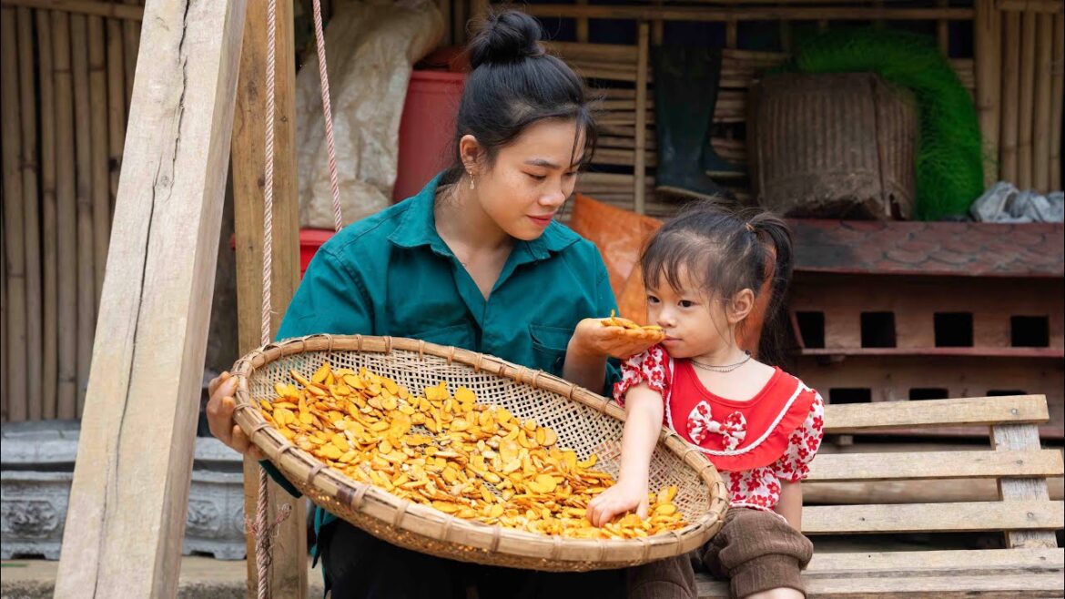 Growing and Harvesting Turmeric, Rustic Cooking, Mountain Life Growing and Harvesting Turmeric, Rustic Cooking, Mountain Life