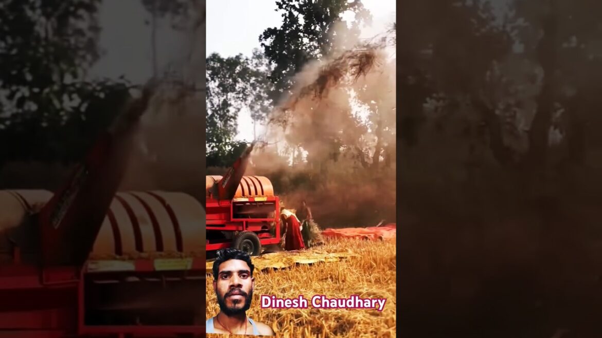 I Built a Giant Potato House#agriculture #farmer #farming #viralvideo urban farming, per