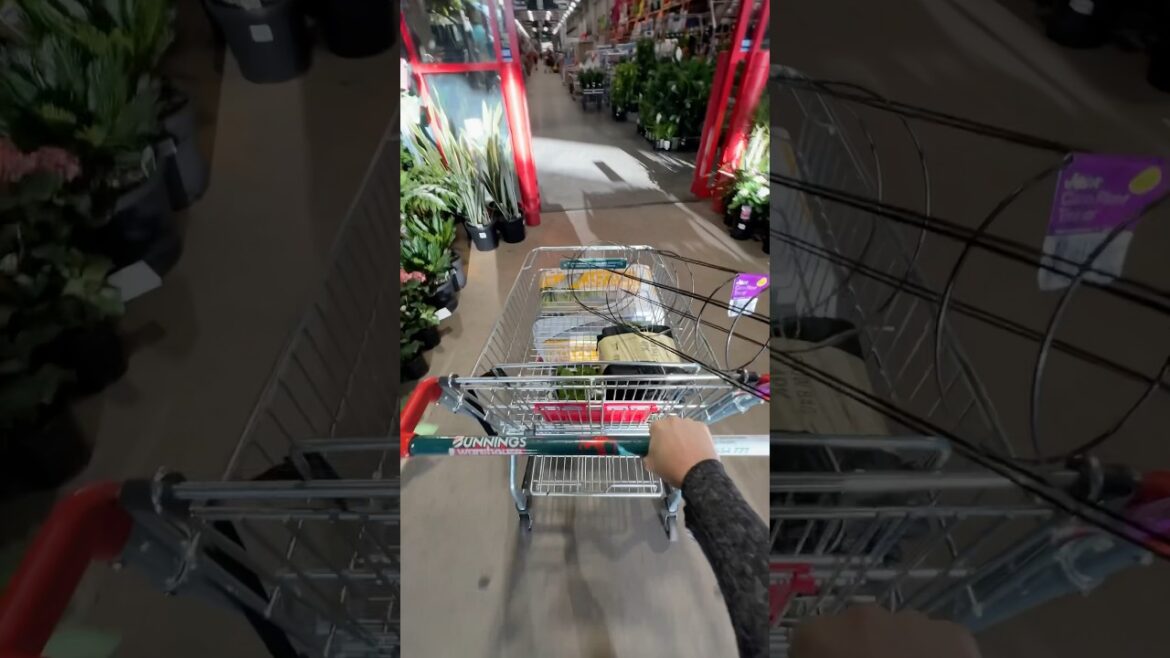 @bunningswarehouse stop to pick up some garden supplies #garden #gardeningsupplies #shoppingcart