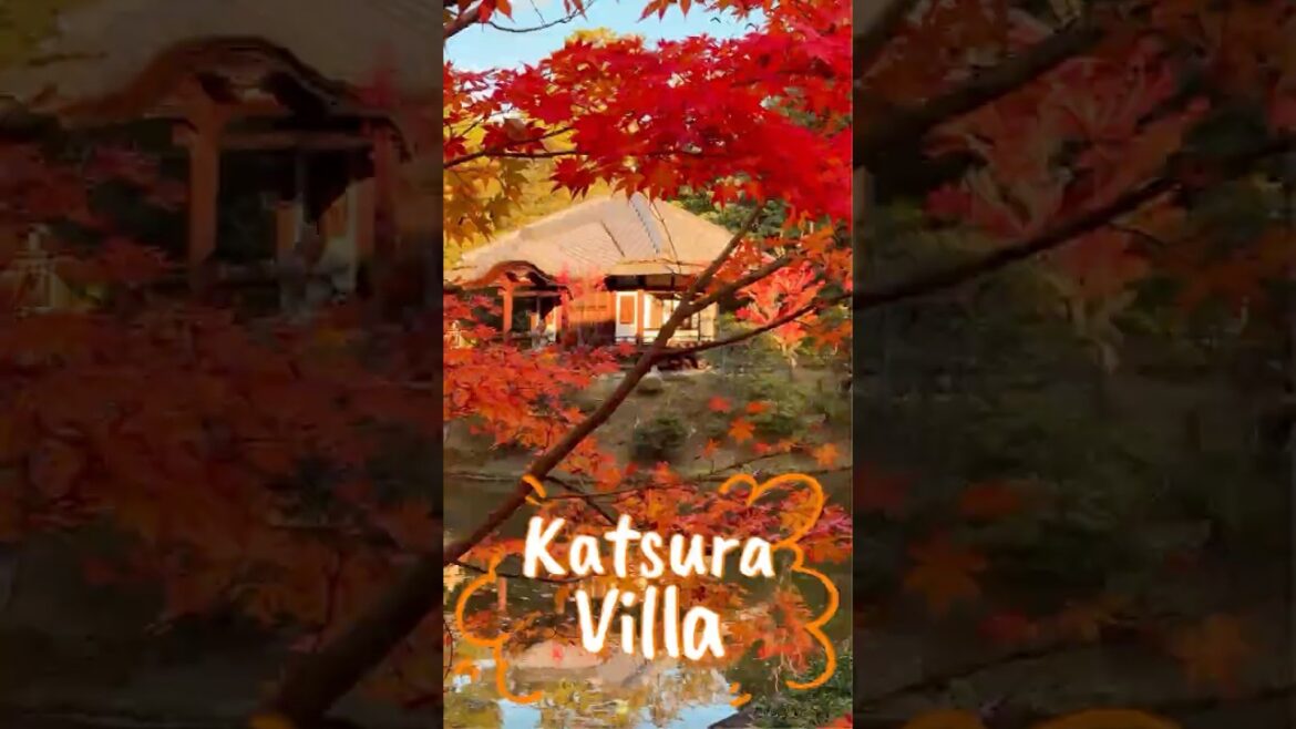Autumn at the Katsura Imperial Villa in Kyoto.  #shortsviral #travel #shortsyoutube #autumn
