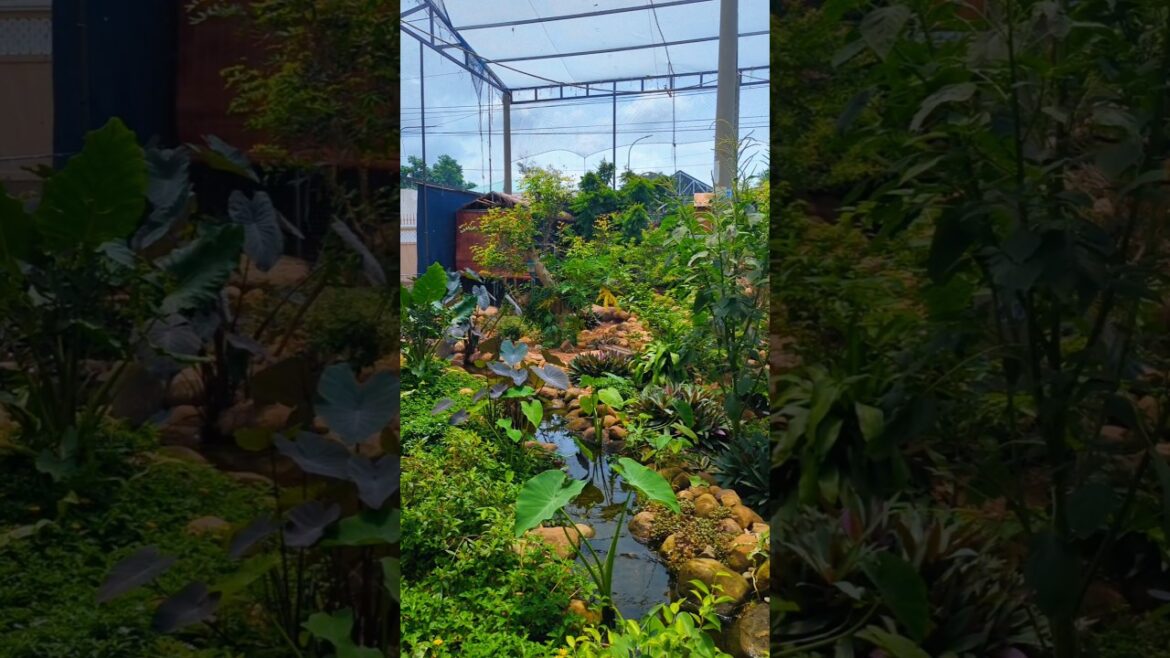 Tạo Suối Trong 300m2 Vườn Tạo Suối Trong 300m2 Vườn