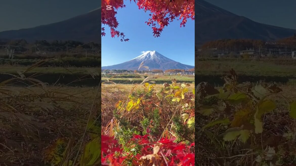 #relaxing #Rain sounds #Meditation music #Nature sounds #Sleep music #Calming sounds #Stress relief #relaxing #Rain sounds #Meditation music #Nature sounds #Sleep music #Calming sounds #Stress relief