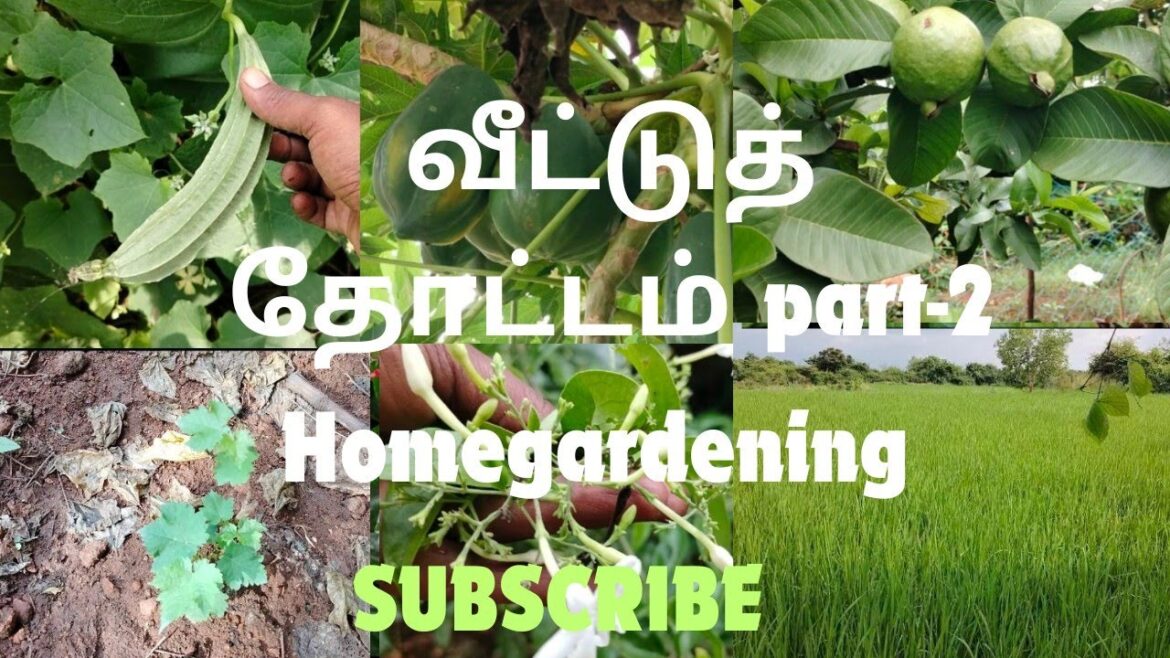 #HomeGardening, #GardeningTips, #VegetableGardening, #HerbGardening,