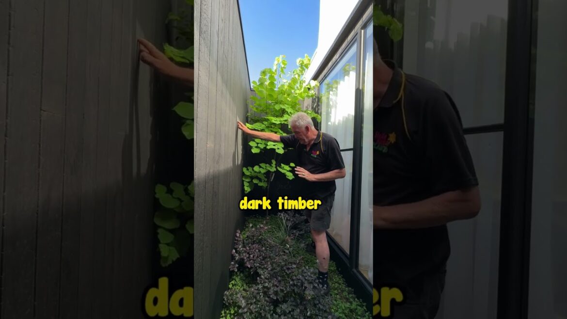 Got a Tiny Garden? This is How We Create Something Beautiful and Low Maintenance.