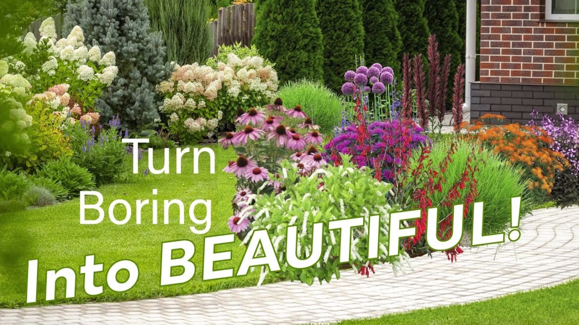 3 Simple Tips To Reduce Your Lawn - WITHOUT Irritating The Neighbors!