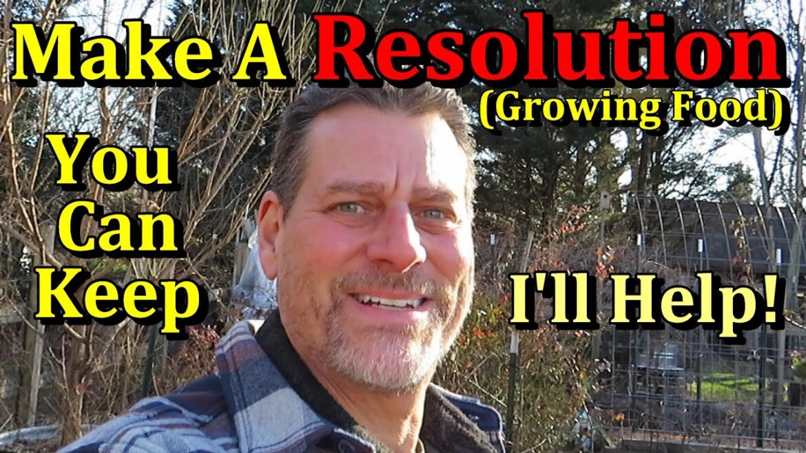 New Year's Resolution: Build a Garden & Grow Your Own Food (I'll Help You Keep Your Goal)
