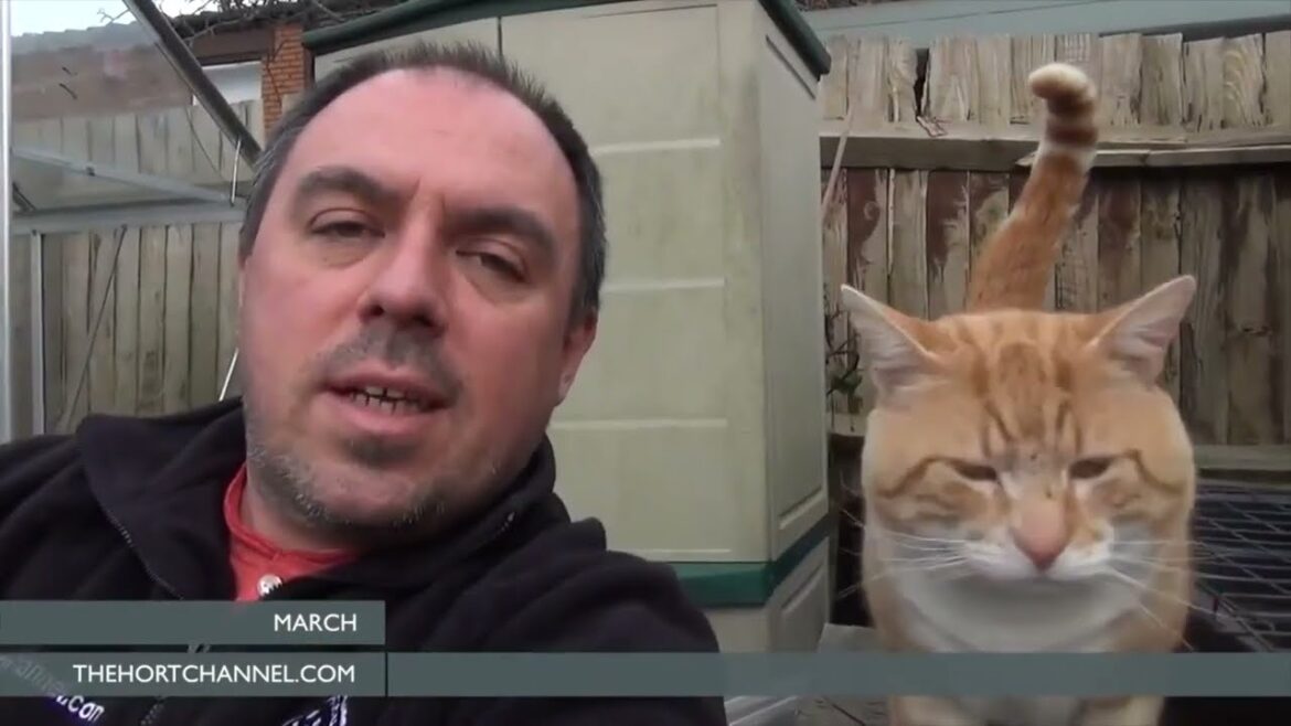 Allotment Gardening Tasks for March