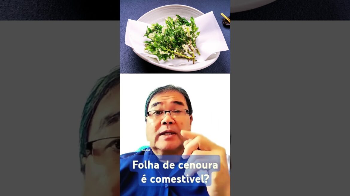 Podemos comer as Folhas de CENOURA? #robertotakane #livrosubstratotecnico
