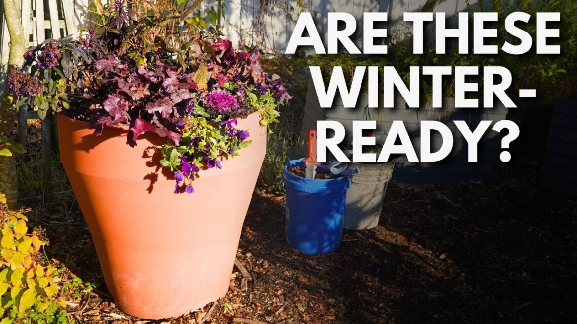 Winterize Your Self-Watering Containers (Tips You NEED to Know!)