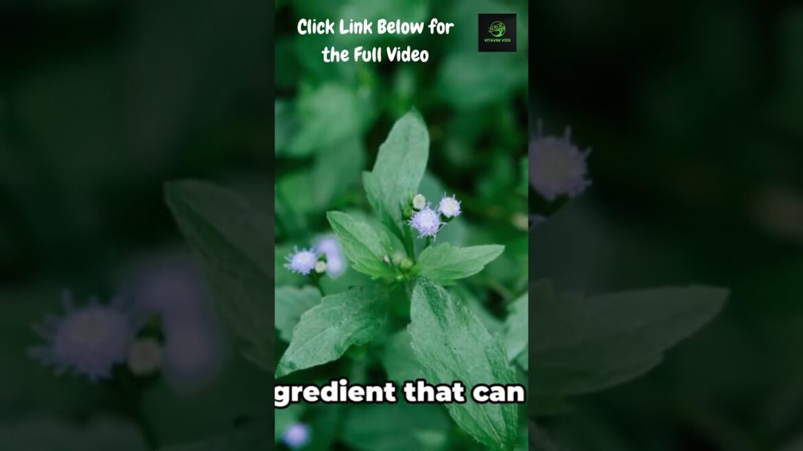 You Won't Believe the HIDDEN Edible Weeds I Found in My Backyard!