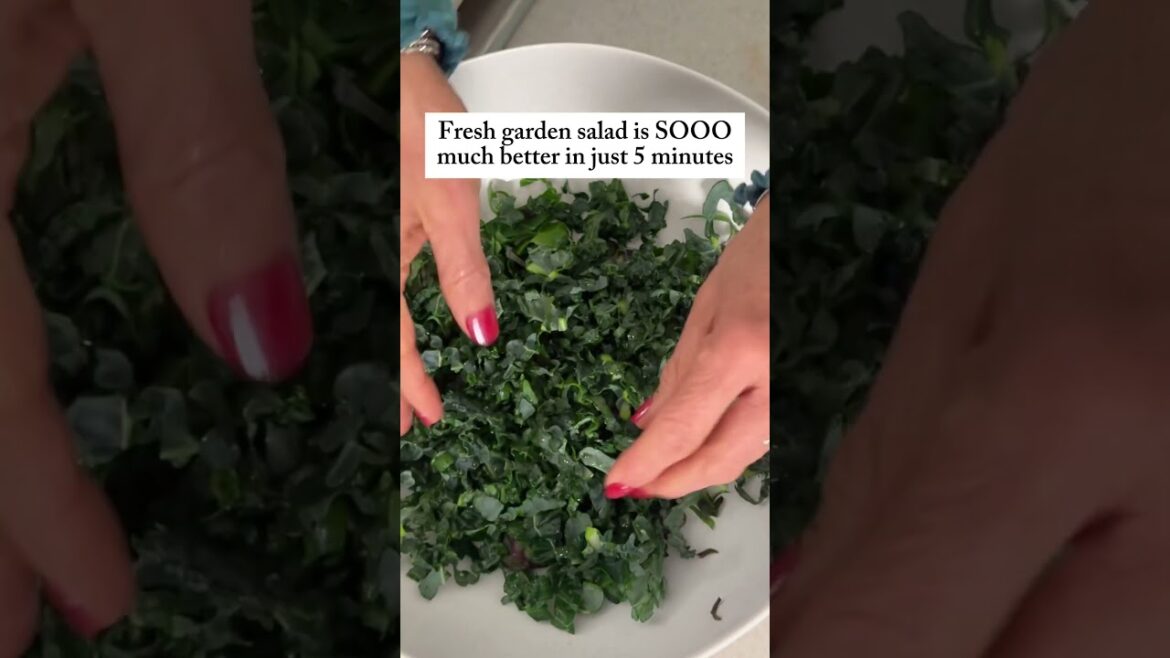 It's time to STOP eating those slimy grocery store salads and grow your own #salad #garden #organic