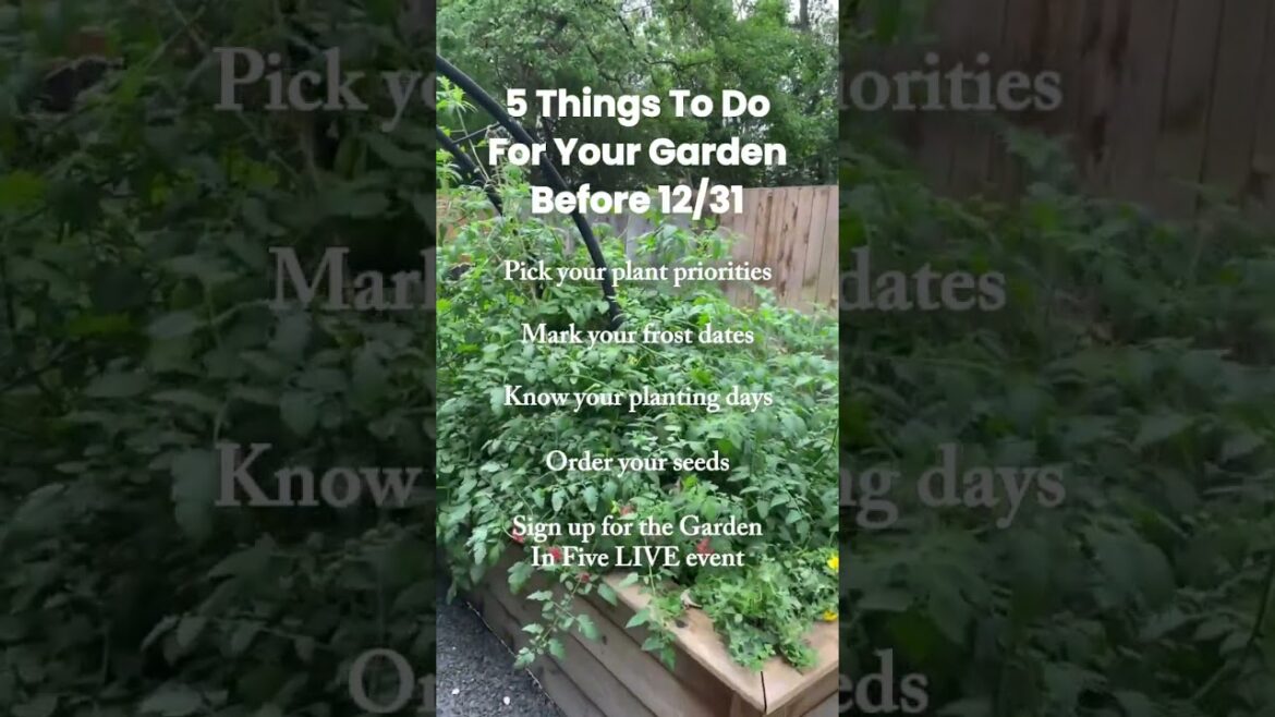 Only a few more days until 2025! Are you ready to hit the ground running? #newyear #gardening Only a few more days until 2025! Are you ready to hit the ground running? #newyear #gardening