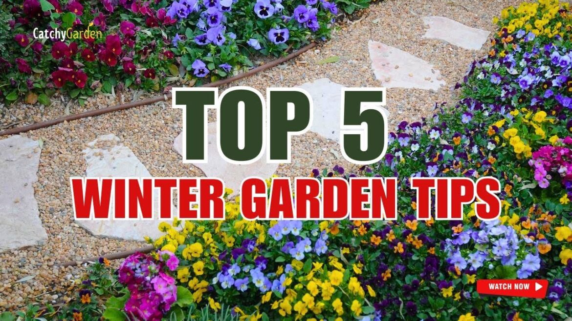 TOP 5 MUST-KNOW WINTER GARDEN TIPS βοΈπΌπ // Gardening Ideas TOP 5 MUST-KNOW WINTER GARDEN TIPS βοΈπΌπ // Gardening Ideas